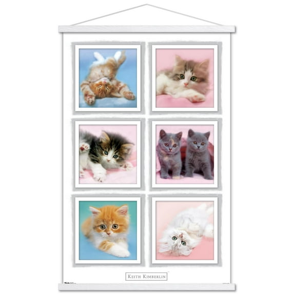 Keith Kimberlin - Kittens Wall Poster with Wooden Magnetic Frame, 22.375" x 34"