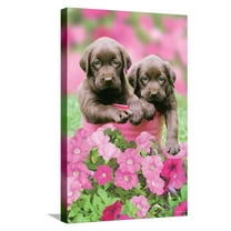Keith Kimberlin - Labs Canvas Wall Poster, 14.725" x 22.375"