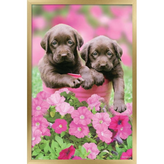 Keith Kimberlin - Labs Wall Poster, 14.725" x 22.375", Framed