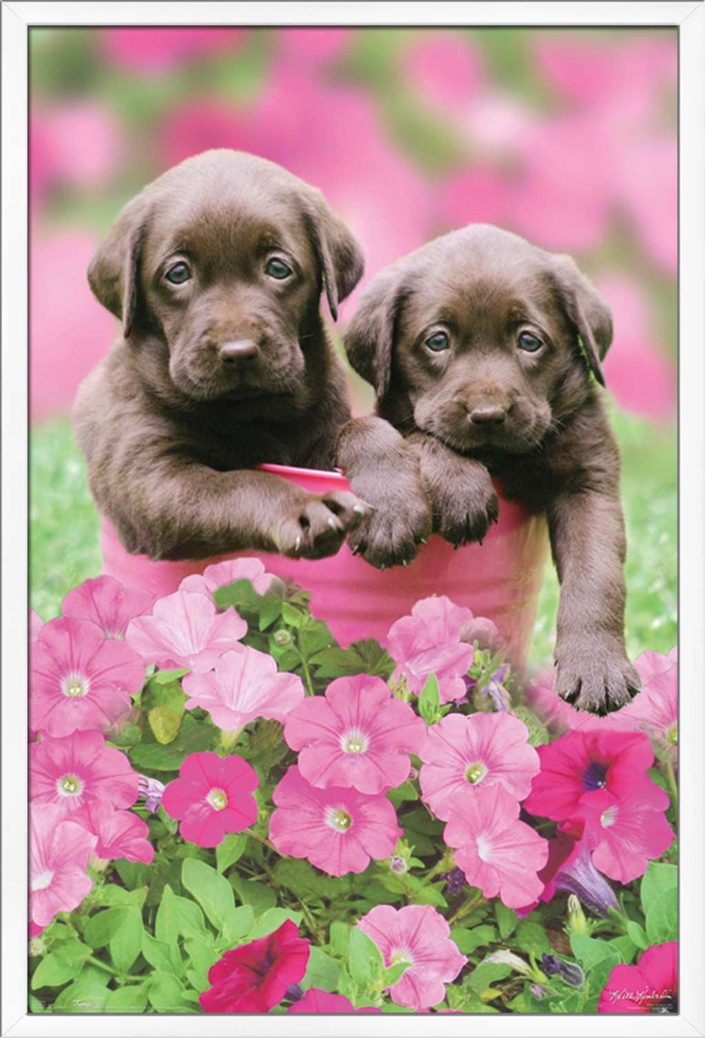 Keith Kimberlin - Labs Wall Poster, 22.375" x 34", Framed