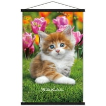 Keith Kimberlin - Maine Coon Kitten Wall Poster with Wooden Magnetic Frame, 22.375" x 34"