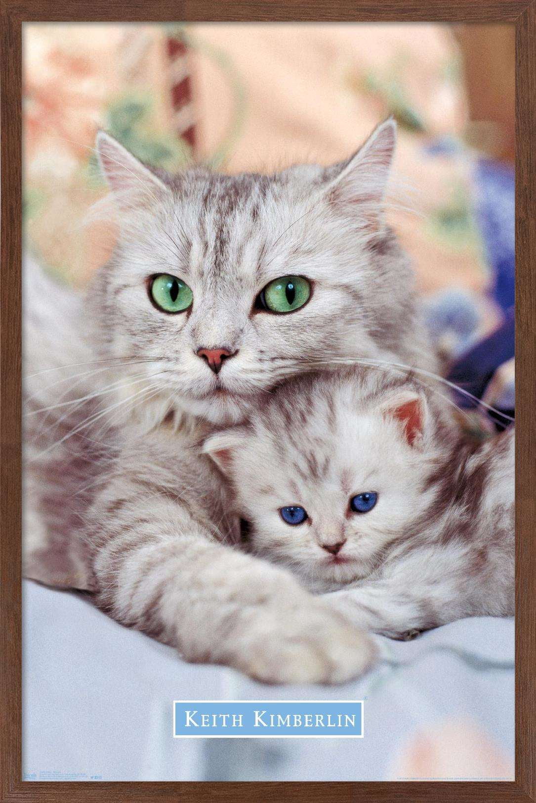 Keith Kimberlin - Momma and Kitten Wall Poster, 14.725" x 22.375", Framed