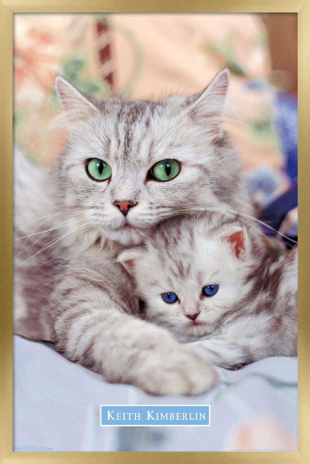 Keith Kimberlin - Momma and Kitten Wall Poster, 14.725" x 22.375", Framed