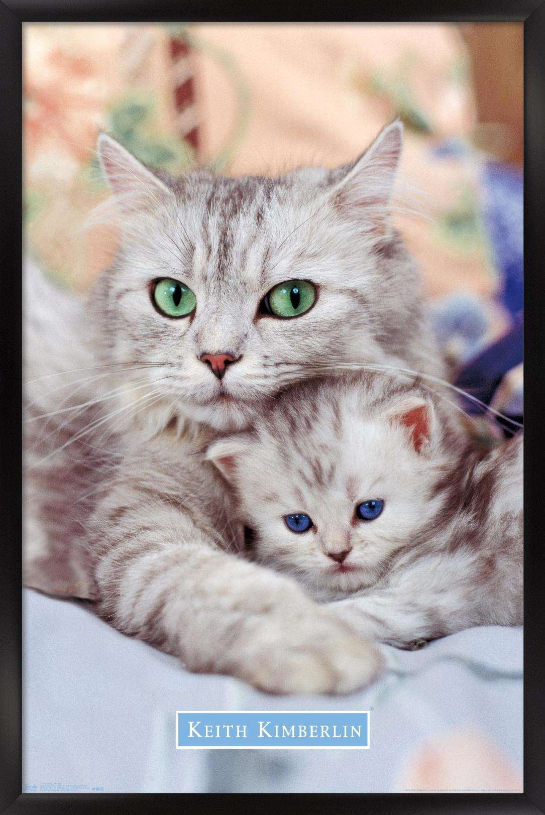 Keith Kimberlin - Momma and Kitten Wall Poster, 14.725" x 22.375", Framed
