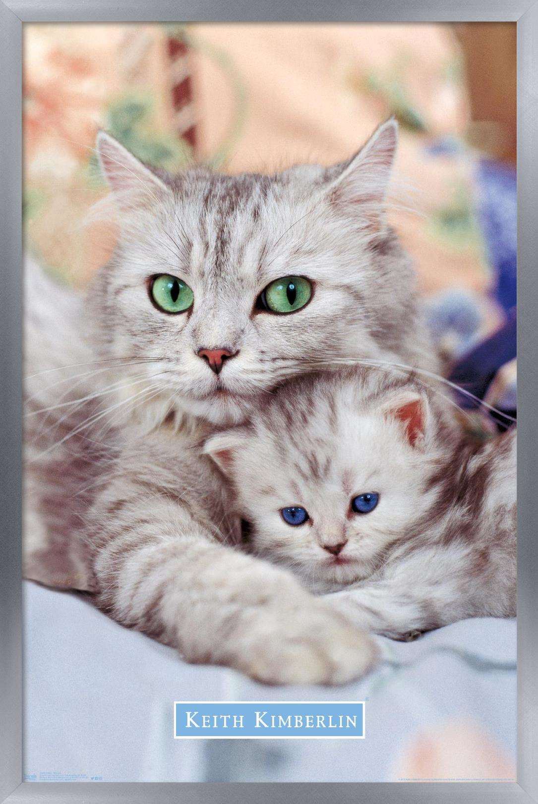 Keith Kimberlin - Momma and Kitten Wall Poster, 14.725" x 22.375", Framed