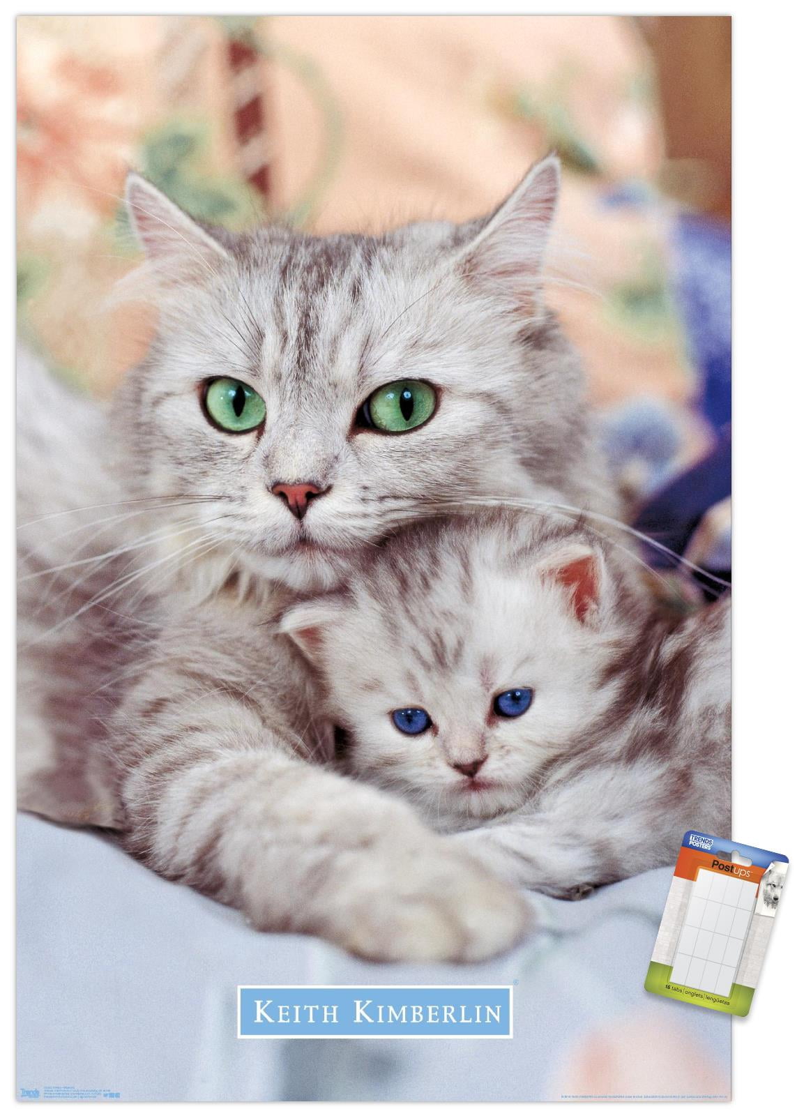 Keith Kimberlin - Momma and Kitten Wall Poster, 14.725" x 22.375"