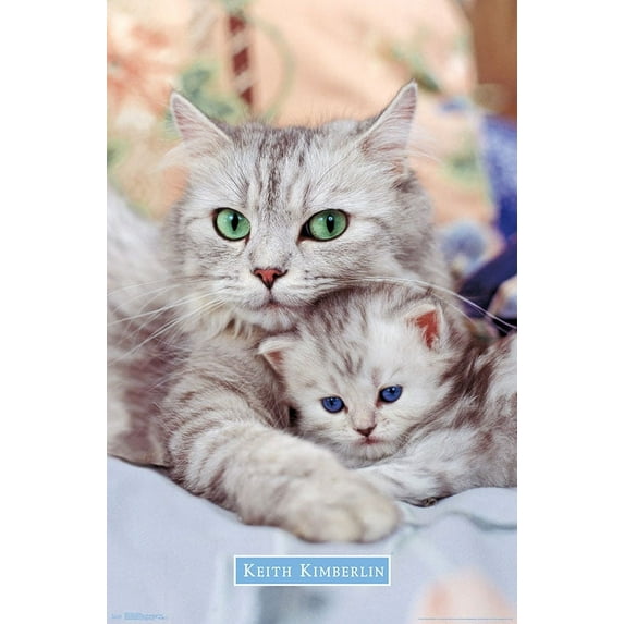 Keith Kimberlin - Momma and Kitten Wall Poster, 22.375" x 34"