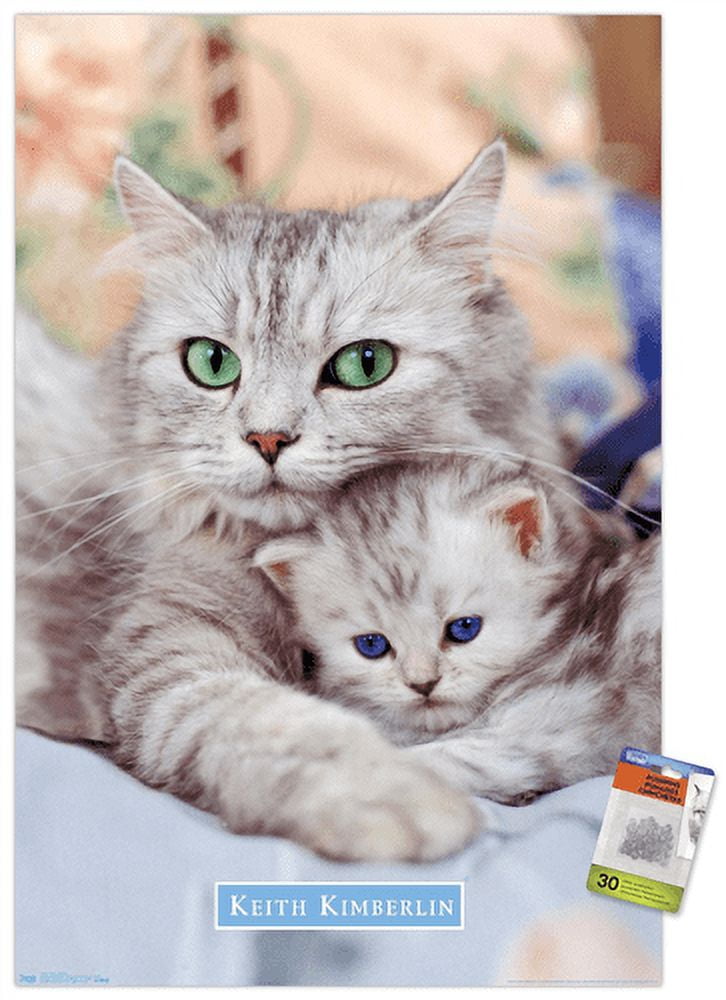 Keith Kimberlin - Momma and Kitten Wall Poster with Push Pins, 22.375" x 34"