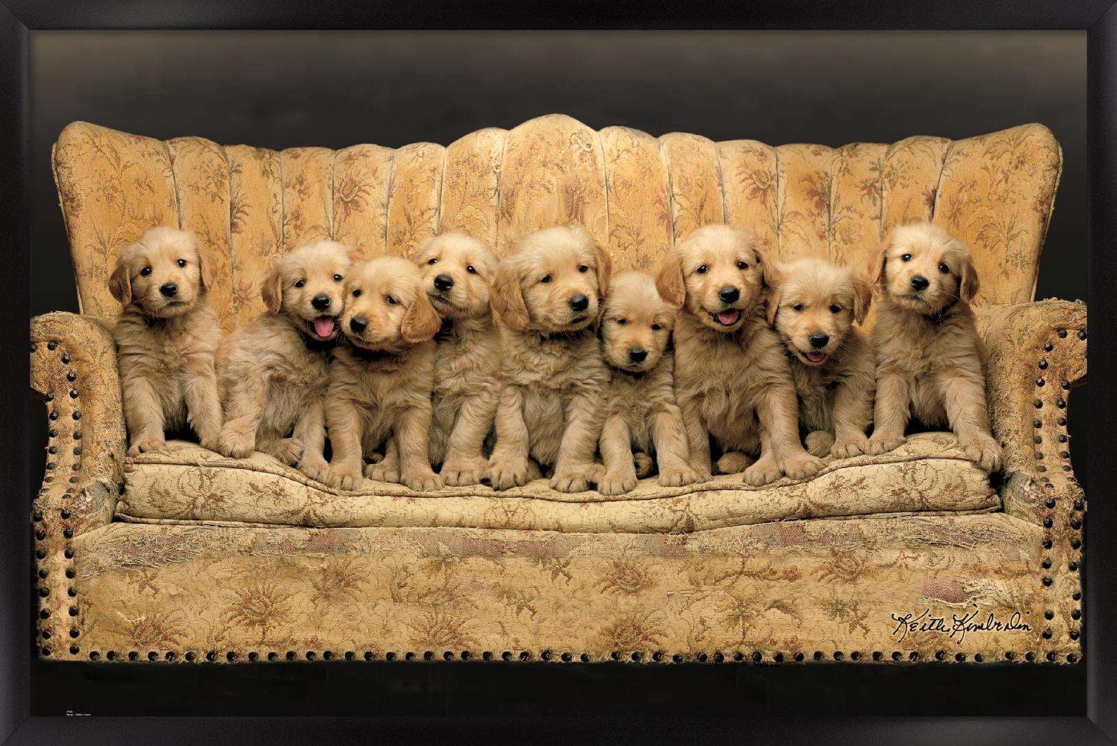Keith Kimberlin - Puppies - Couch Poster