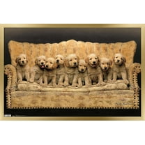 Keith Kimberlin - Puppies - Couch Wall Poster, 14.725" x 22.375", Framed