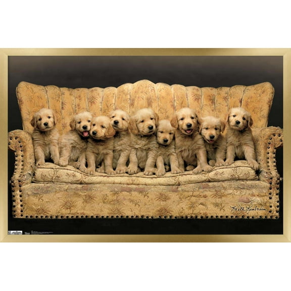 Keith Kimberlin - Puppies - Couch Wall Poster, 14.725" x 22.375", Framed
