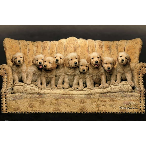 Keith Kimberlin - Puppies - Couch Wall Poster, 14.725" x 22.375"