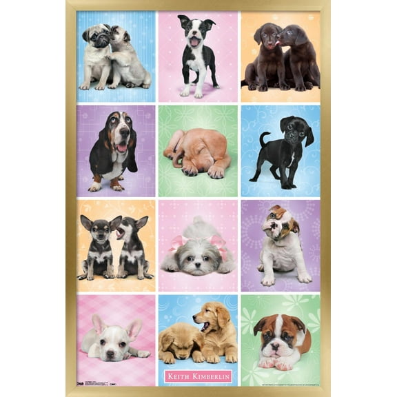 Keith Kimberlin - Puppies - Cuties Grid Wall Poster, 14.725" x 22.375", Framed