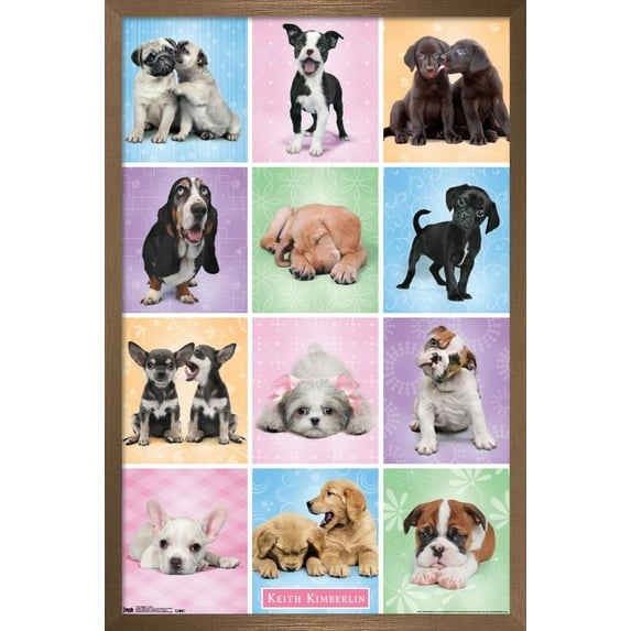 Keith Kimberlin - Puppies - Cuties Grid Wall Poster, 22.375" x 34", Framed