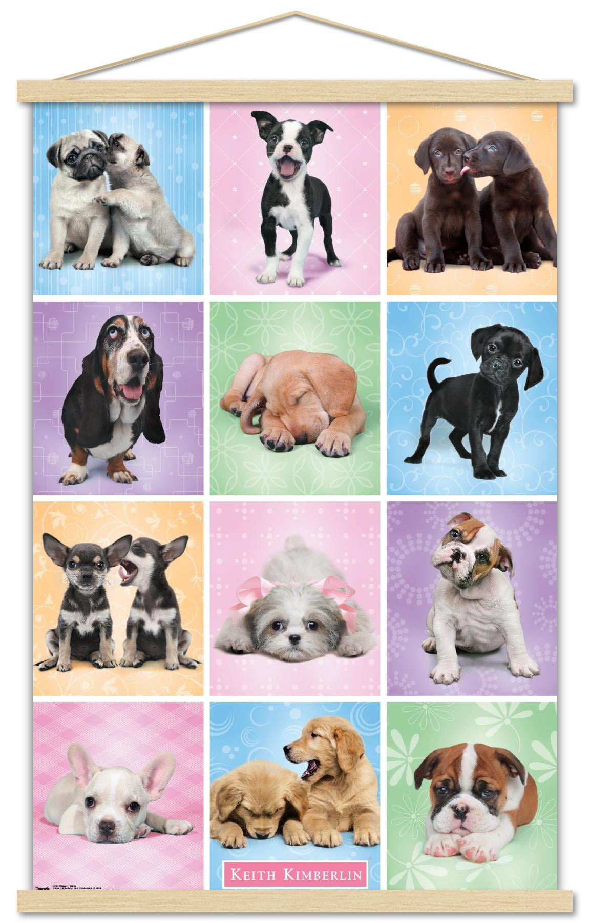 Keith Kimberlin - Puppies - Cuties Grid Wall Poster with Wooden Magnetic Frame, 22.375" x 34"