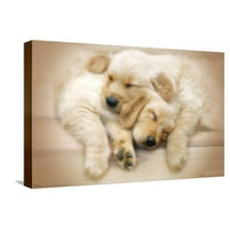 Keith Kimberlin - Puppies - Golden Retrievers Cuddling Canvas Wall Poster, 14.725" x 22.375"