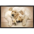 thumbnail image 1 of Keith Kimberlin - Puppies - Golden Retrievers Cuddling Wall Poster, 14.725" x 22.375", Framed, 1 of 3