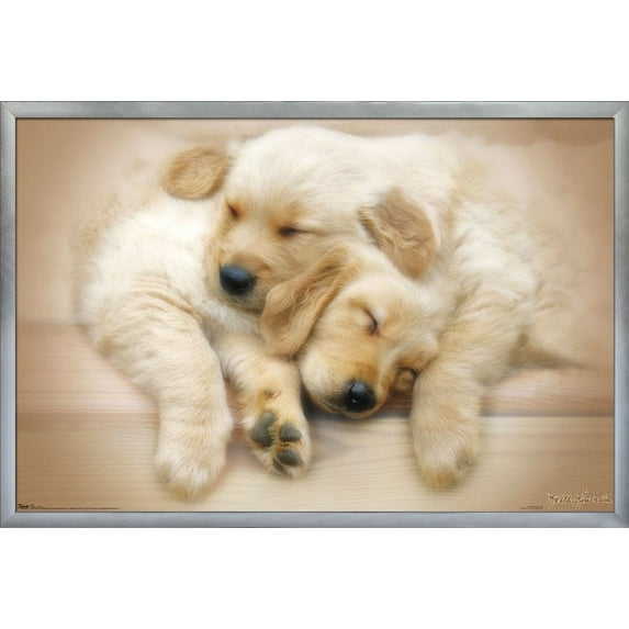 Keith Kimberlin - Puppies - Golden Retrievers Cuddling Wall Poster, 22.375" x 34", Framed