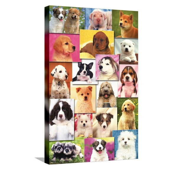 Keith Kimberlin - Puppies Grid Canvas Wall Poster, 14.725" x 22.375"