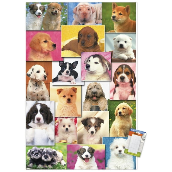 Keith Kimberlin - Puppies Grid Wall Poster, 14.725" x 22.375"