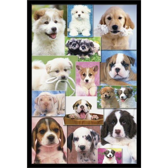 Keith Kimberlin - Puppies Grid Wall Poster, 22.375" x 34", Framed
