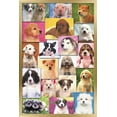 thumbnail image 1 of Keith Kimberlin - Puppies Grid Wall Poster, 22.375" x 34", Framed, 1 of 5