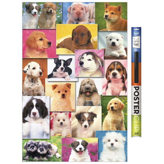 Keith Kimberlin - Puppies Grid Wall Poster, 22.375" x 34"