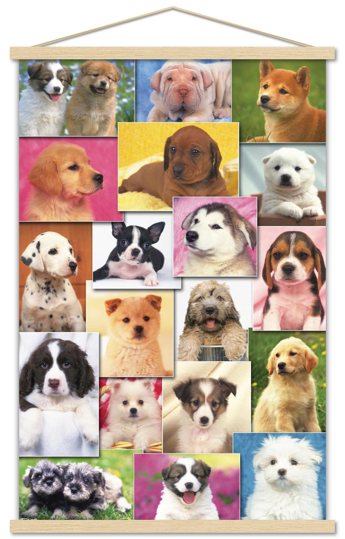 Keith Kimberlin - Puppies Grid Wall Poster with Wooden Magnetic Frame, 22.375" x 34"