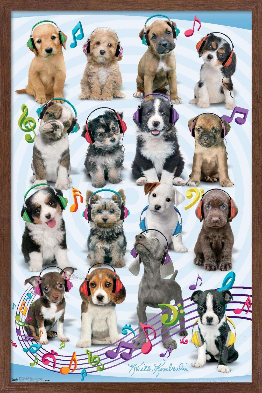 Keith Kimberlin - Puppies - Headphones Wall Poster, 14.725" x 22.375", Framed