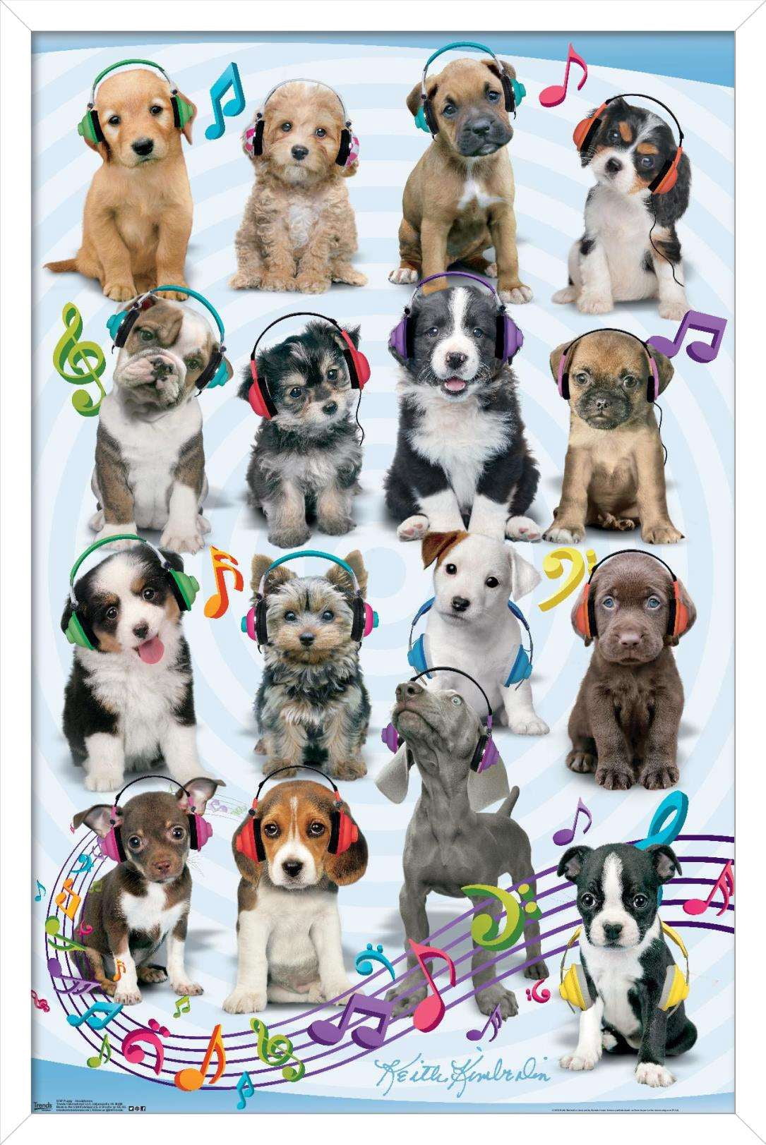 Keith Kimberlin - Puppies - Headphones Wall Poster, 14.725" x 22.375", Framed