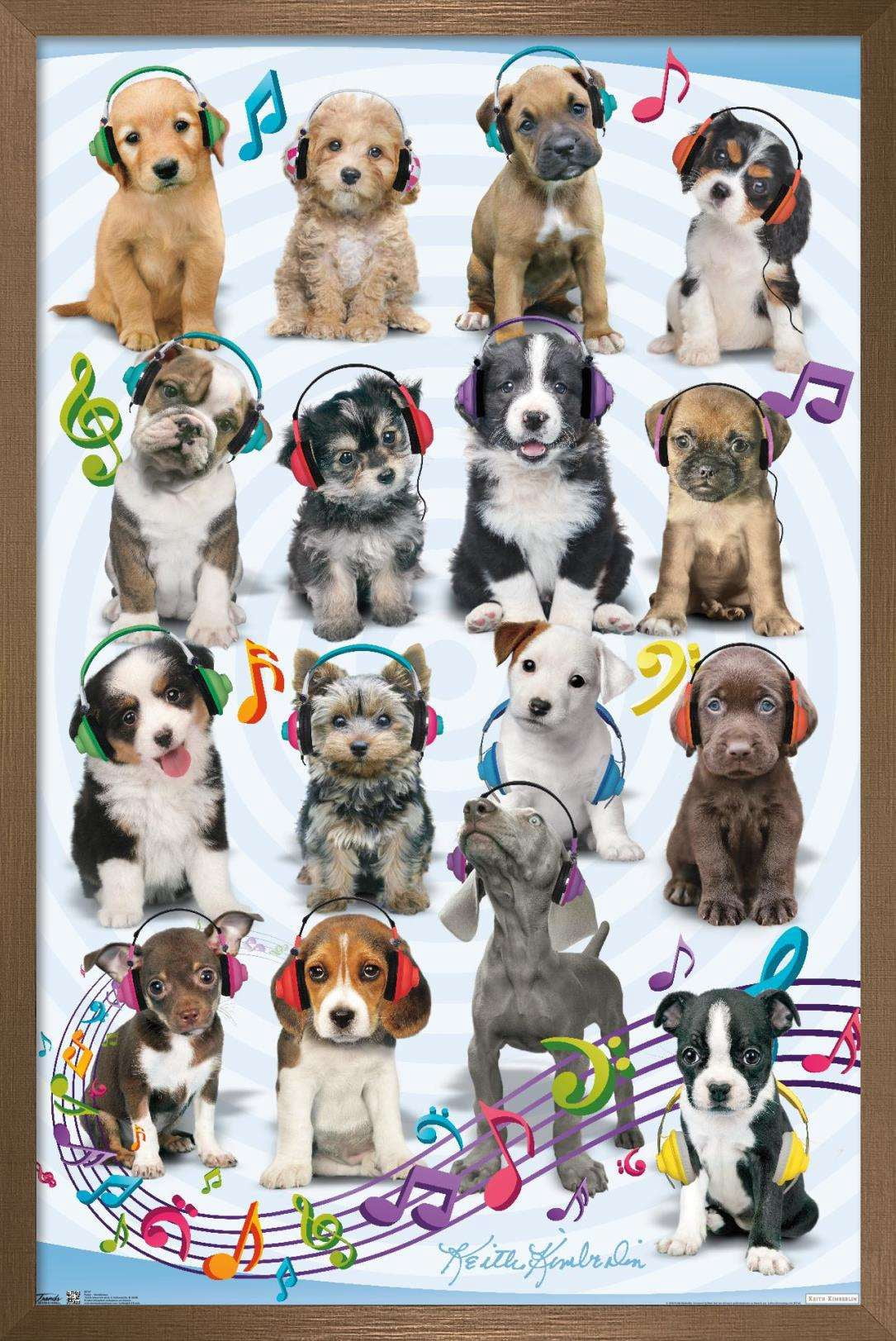 Keith Kimberlin - Puppies - Headphones Wall Poster, 22.375" x 34", Framed
