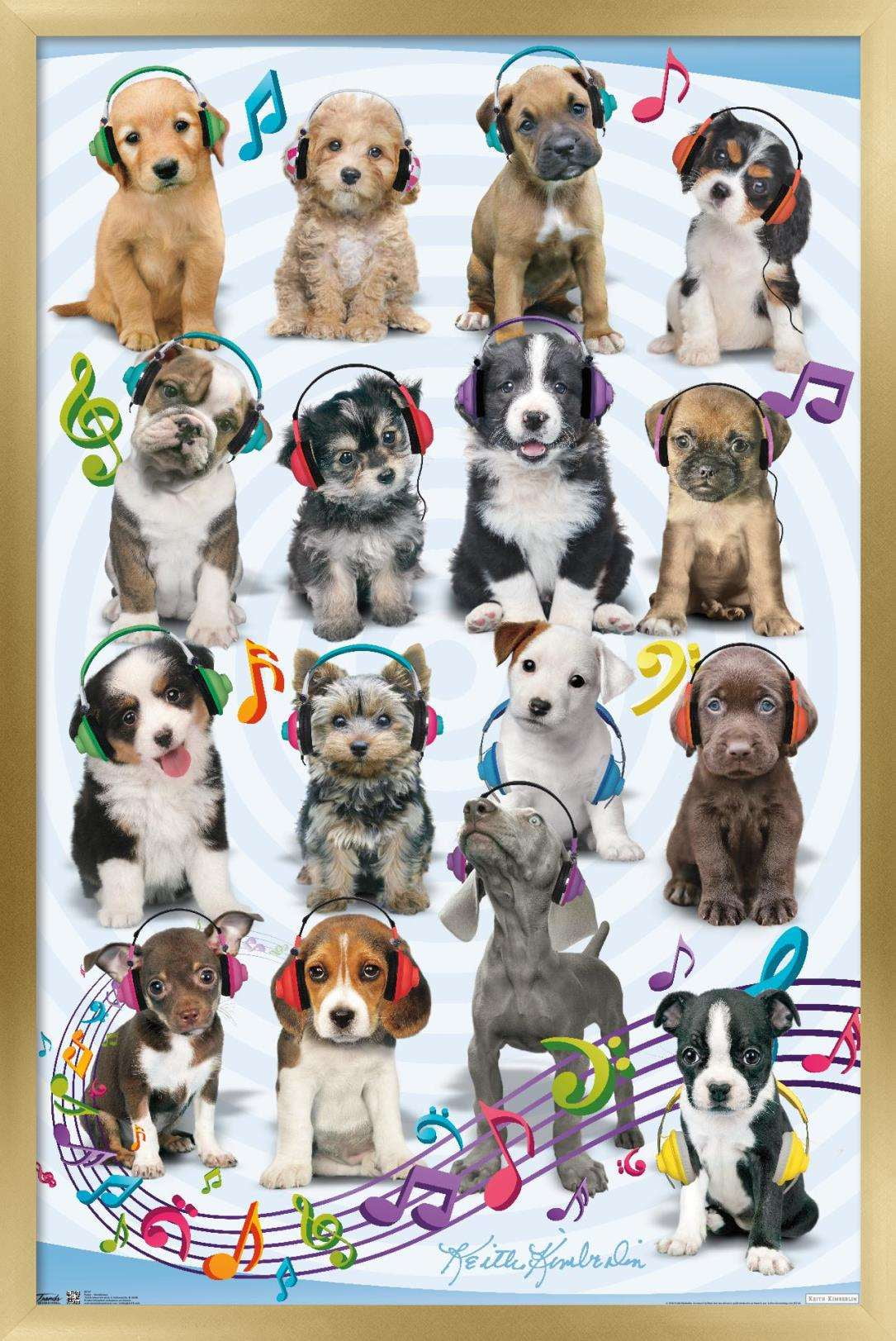 Keith Kimberlin - Puppies - Headphones Wall Poster, 22.375" x 34", Framed