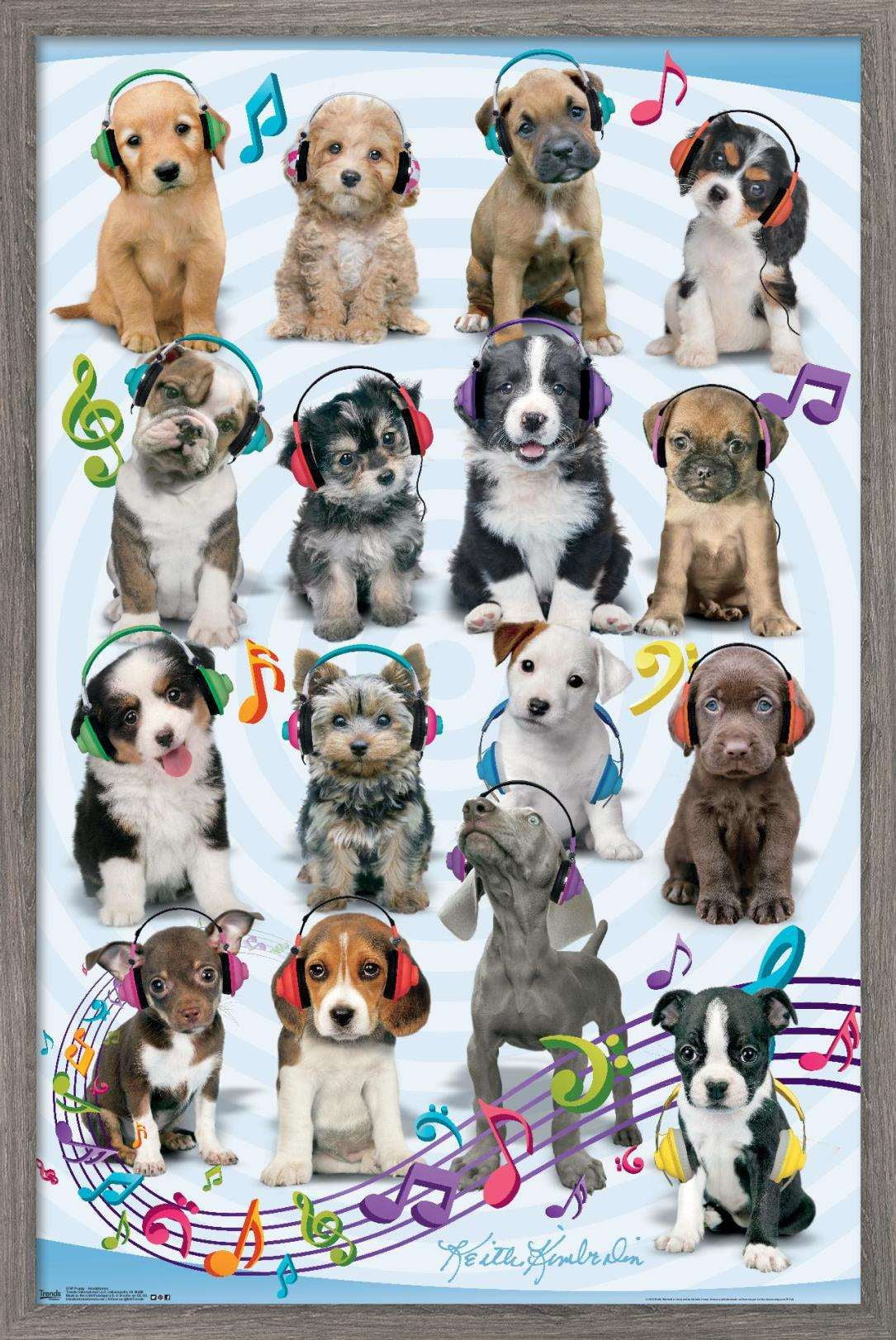Keith Kimberlin - Puppies - Headphones Wall Poster, 22.375" x 34", Framed