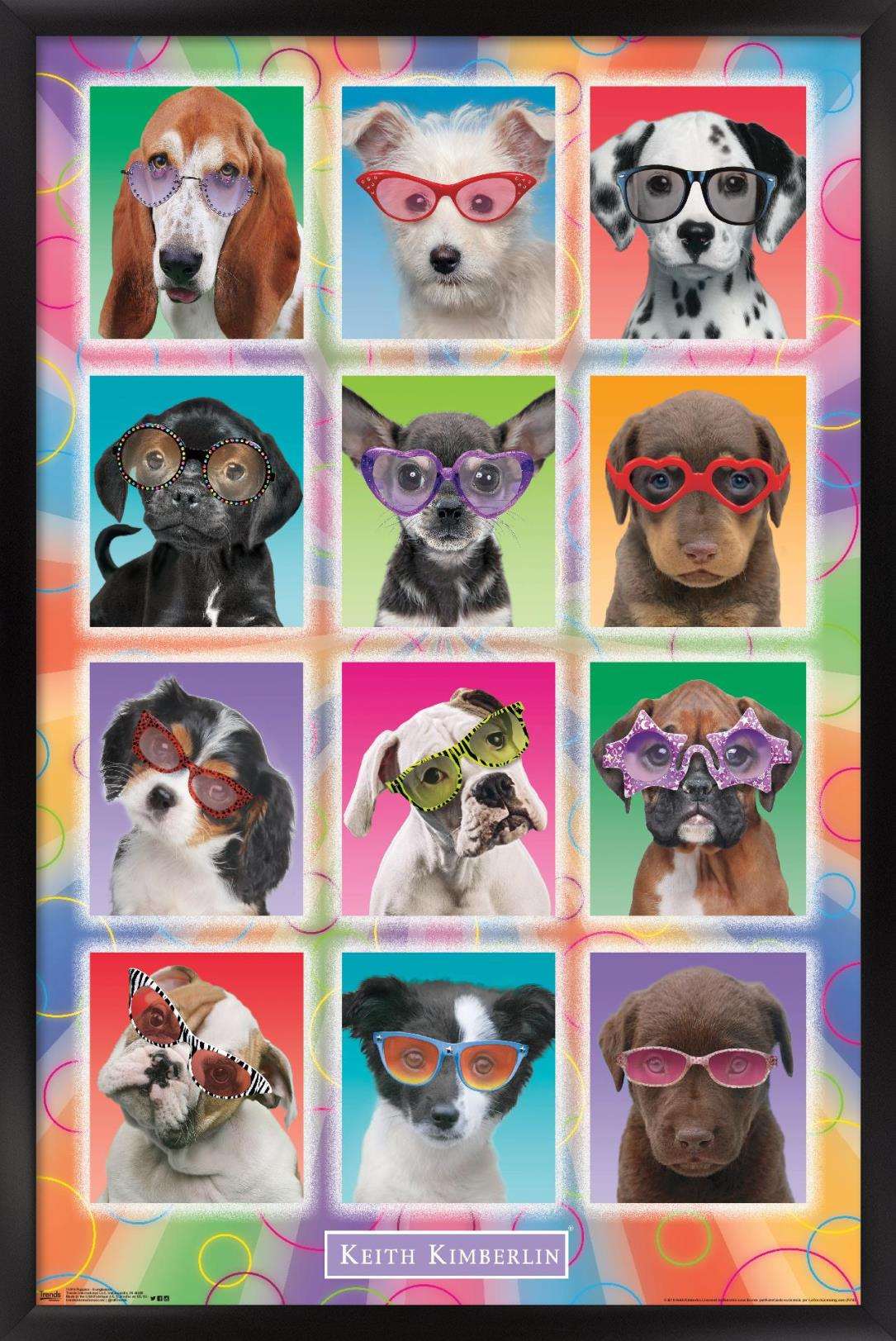 Keith Kimberlin - Puppies - Sunglasses Wall Poster, 14.725" x 22.375", Framed