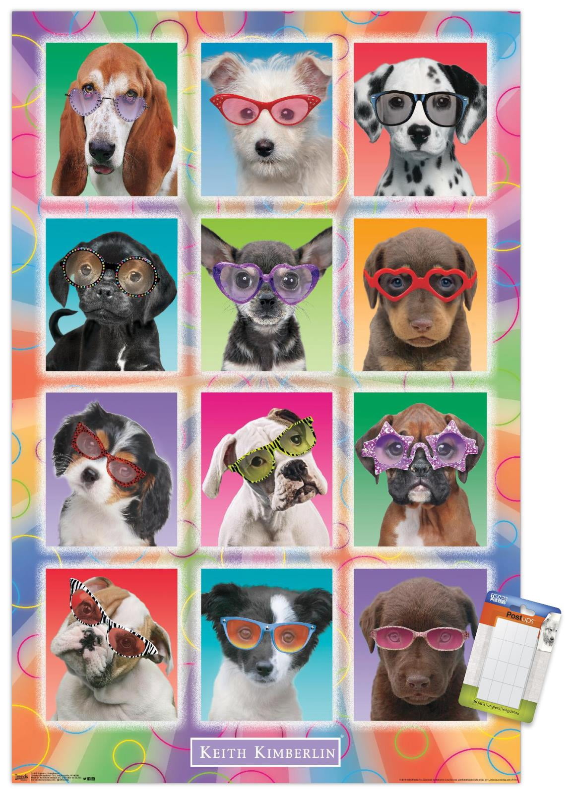 Keith Kimberlin - Puppies - Sunglasses Wall Poster, 14.725" x 22.375"