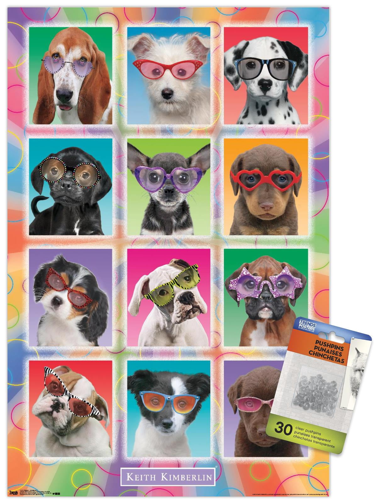 Keith Kimberlin - Puppies - Sunglasses Wall Poster with Push Pins, 14.725" x 22.375"