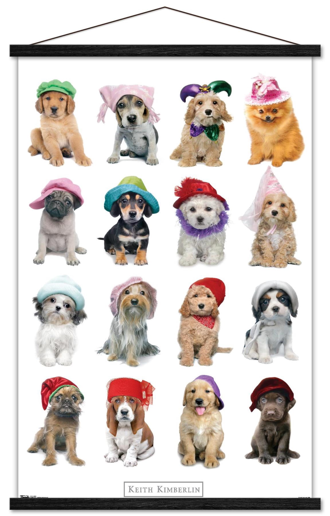 Keith Kimberlin - Puppies With Hats Wall Poster with Wooden Magnetic Frame, 22.375" x 34"