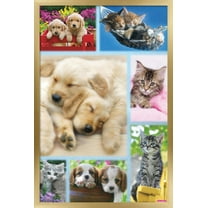 Keith Kimberlin - Puppies and Kittens Collage Wall Poster, 14.725" x 22.375", Framed