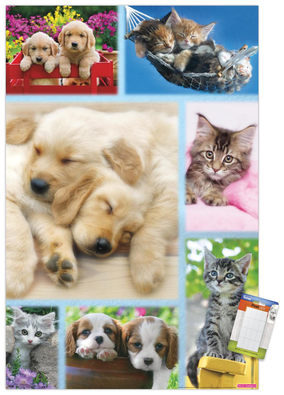 Keith Kimberlin - Puppies and Kittens Collage Wall Poster, 14.725" x 22.375"