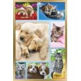 thumbnail image 1 of Keith Kimberlin - Puppies and Kittens Collage Wall Poster, 22.375" x 34", Framed, 1 of 3