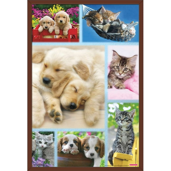 Keith Kimberlin - Puppies and Kittens Collage Wall Poster, 22.375" x 34", Framed