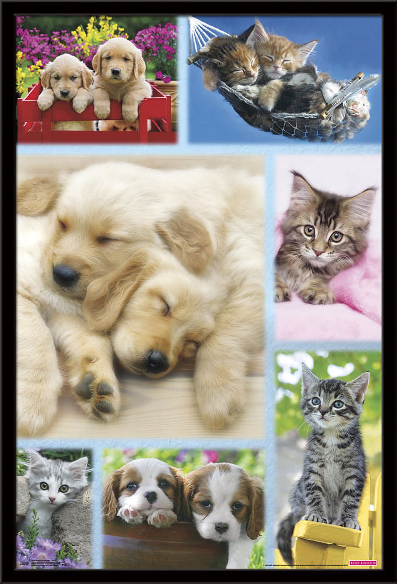 Keith Kimberlin - Puppies and Kittens Collage Wall Poster, 22.375" x 34", Framed