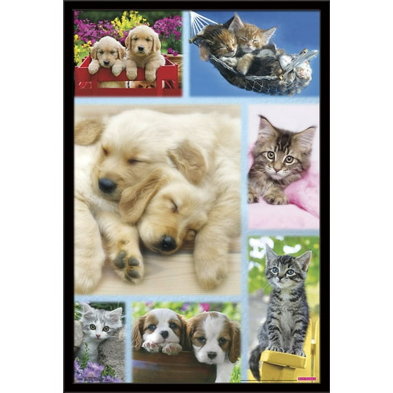 Keith Kimberlin - Puppies and Kittens Collage Wall Poster, 22.375" x 34", Framed