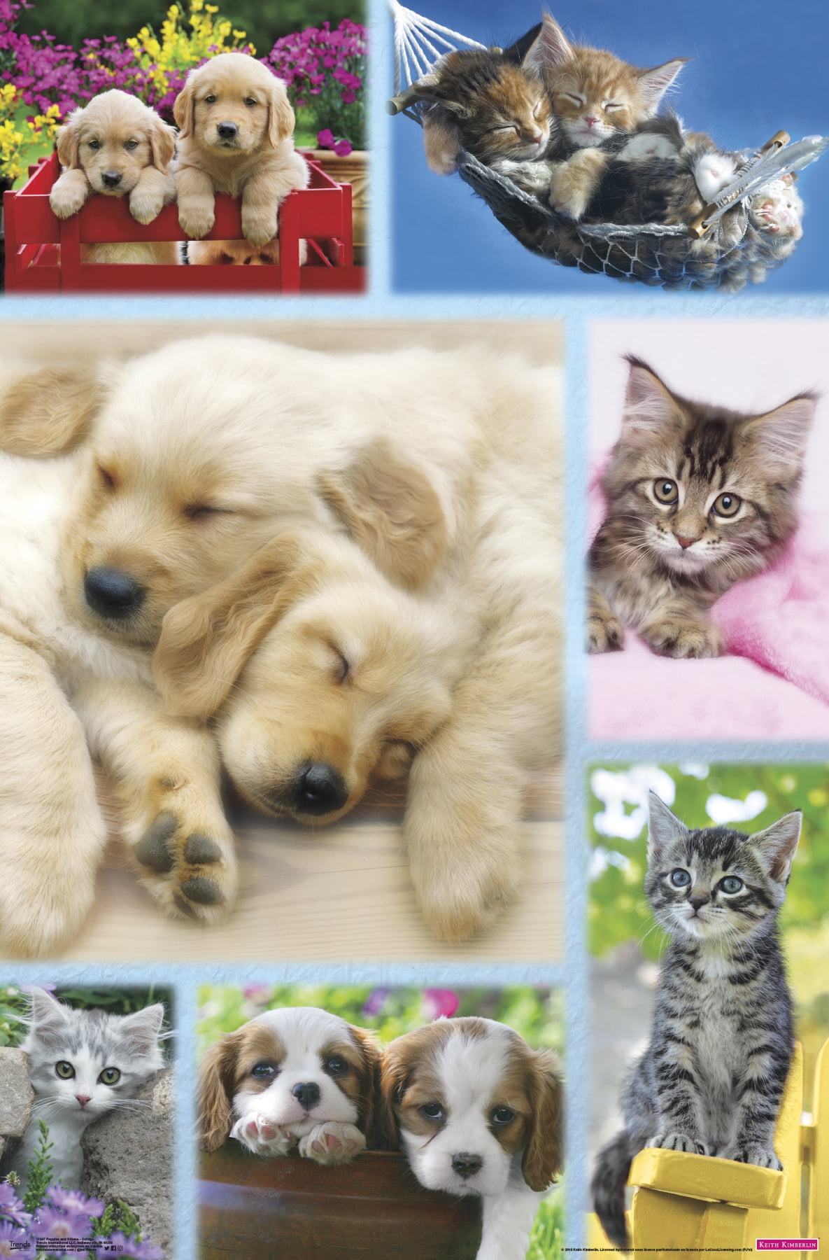 Keith Kimberlin - Puppies and Kittens Collage Wall Poster, 22.375" x 34"