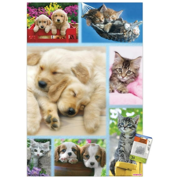 Keith Kimberlin - Puppies and Kittens Collage Wall Poster with Push Pins, 22.375" x 34"