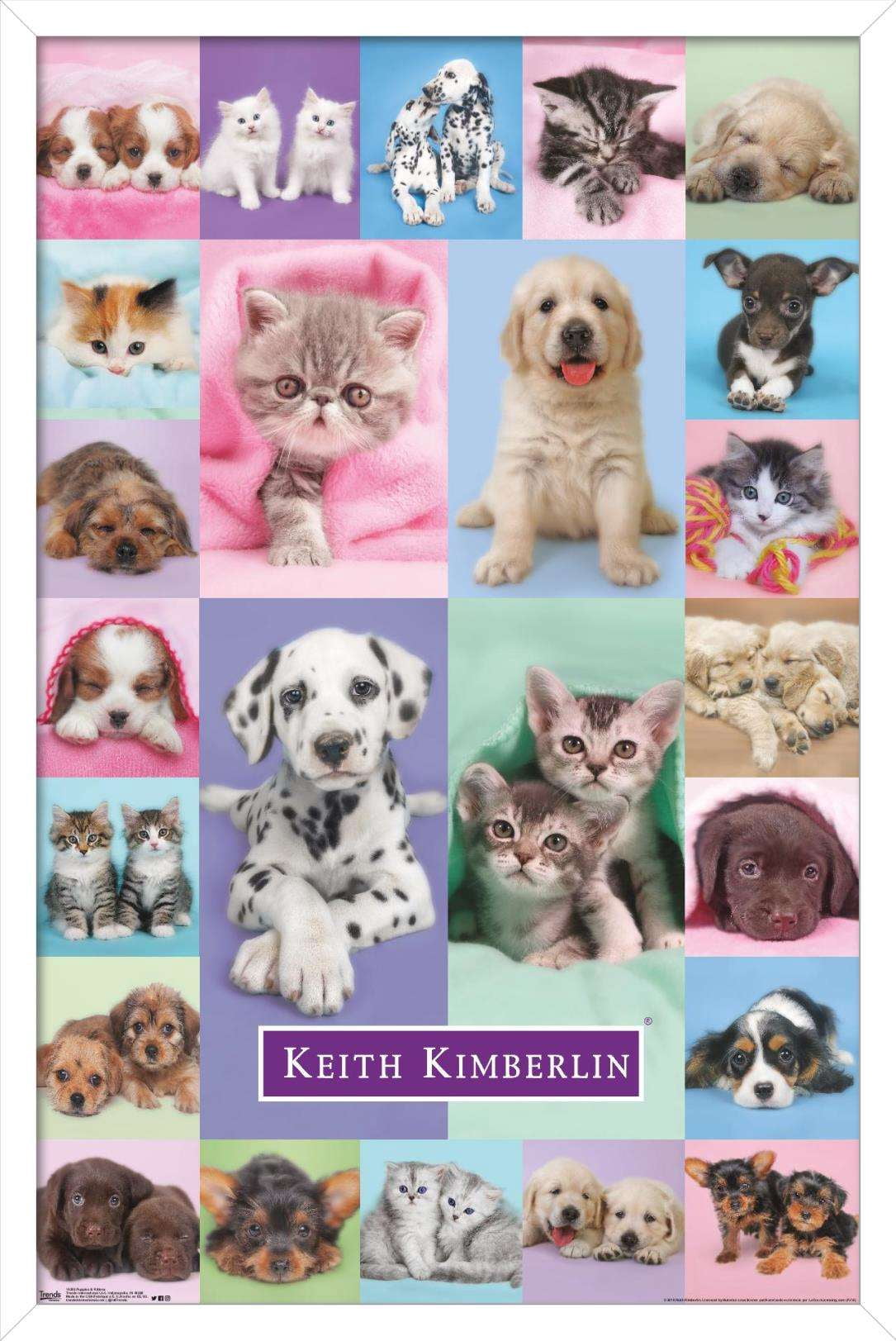 Keith Kimberlin - Puppies and Kittens Wall Poster, 14.725" x 22.375", Framed
