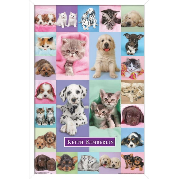 Keith Kimberlin - Puppies and Kittens Wall Poster, 14.725" x 22.375", Framed