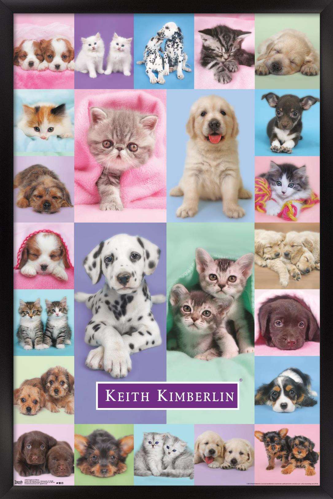 Keith Kimberlin - Puppies and Kittens Wall Poster, 14.725" x 22.375", Framed