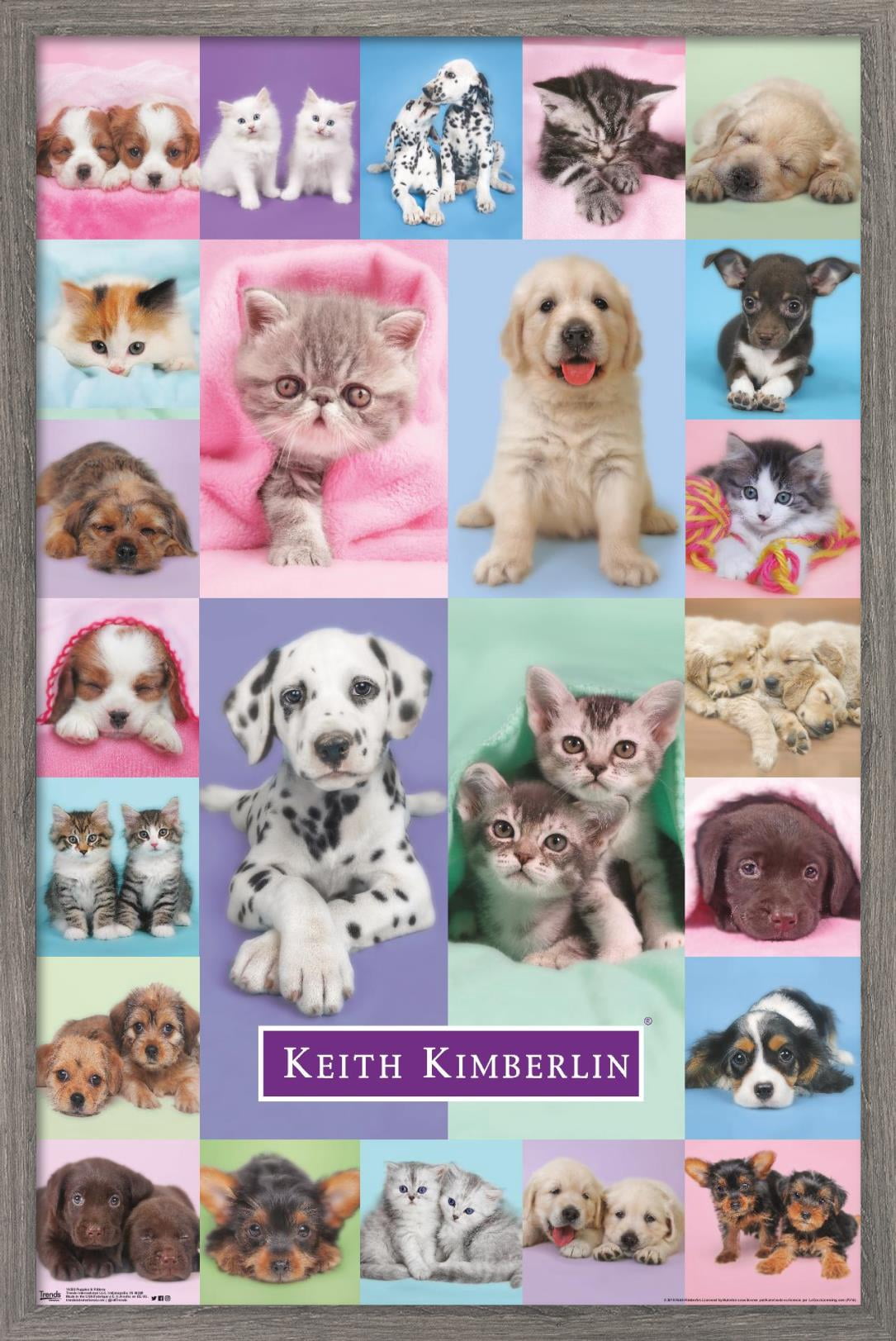 Keith Kimberlin - Puppies and Kittens Wall Poster, 14.725" x 22.375", Framed