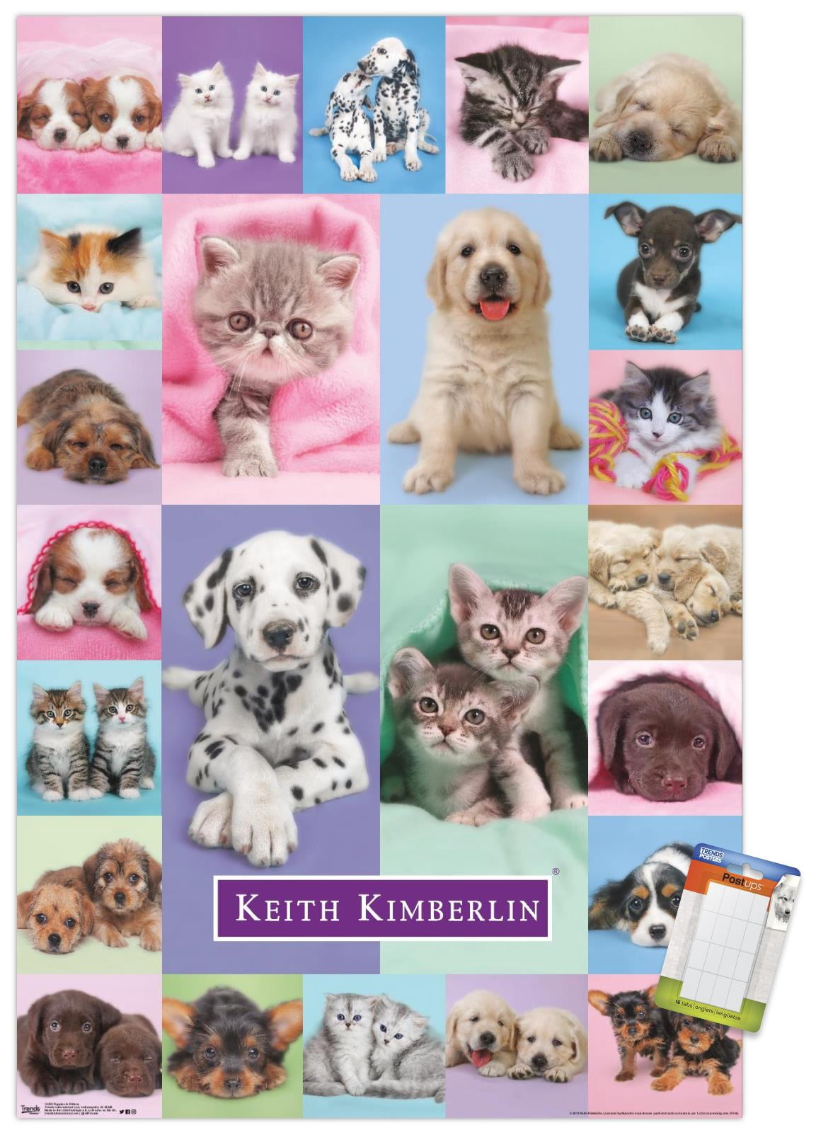 Keith Kimberlin - Puppies and Kittens Wall Poster, 14.725" x 22.375"